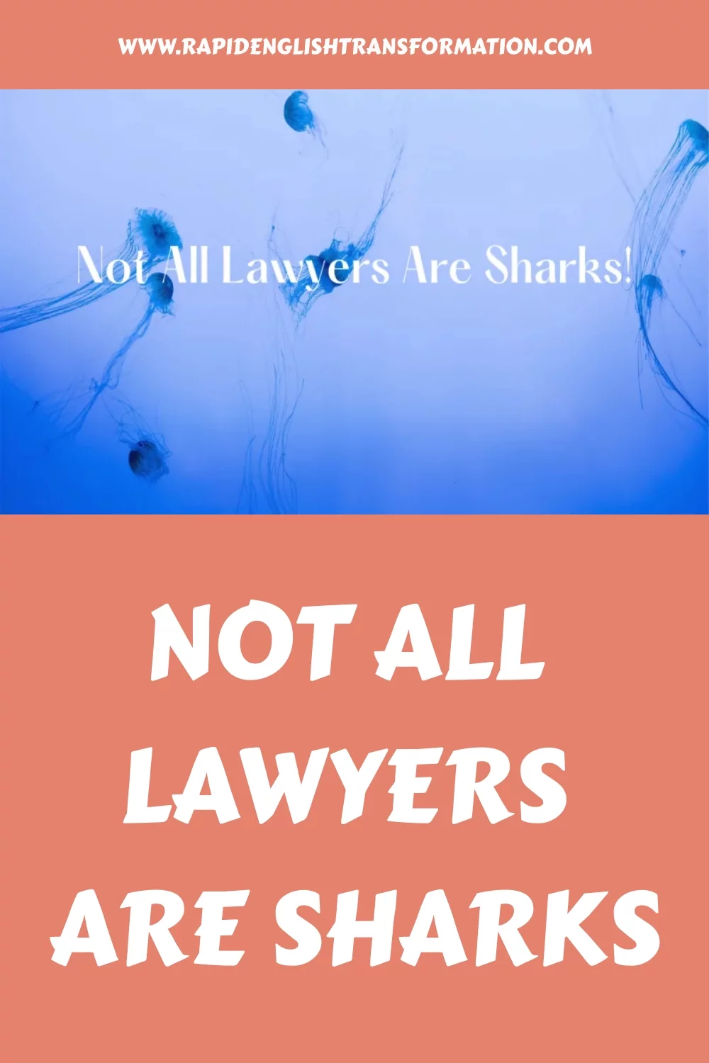 Not All Lawyers Are Sharks